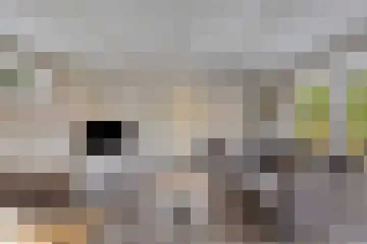 Arnhemseweg 100 R 541 Otterlo thumbnail 8