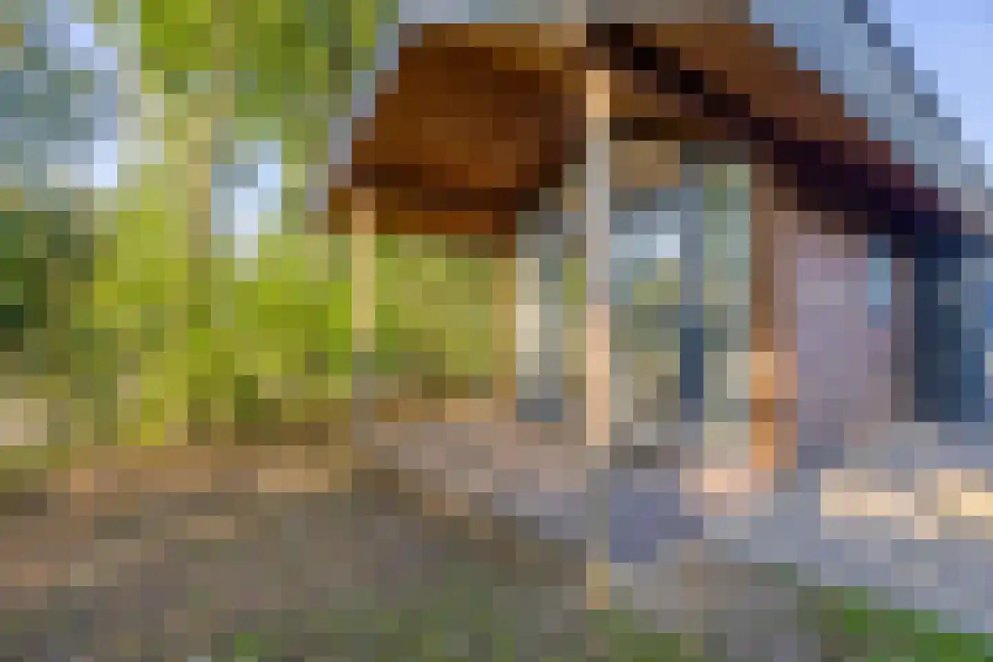 Arnhemseweg 100 R 812 Otterlo thumbnail 18
