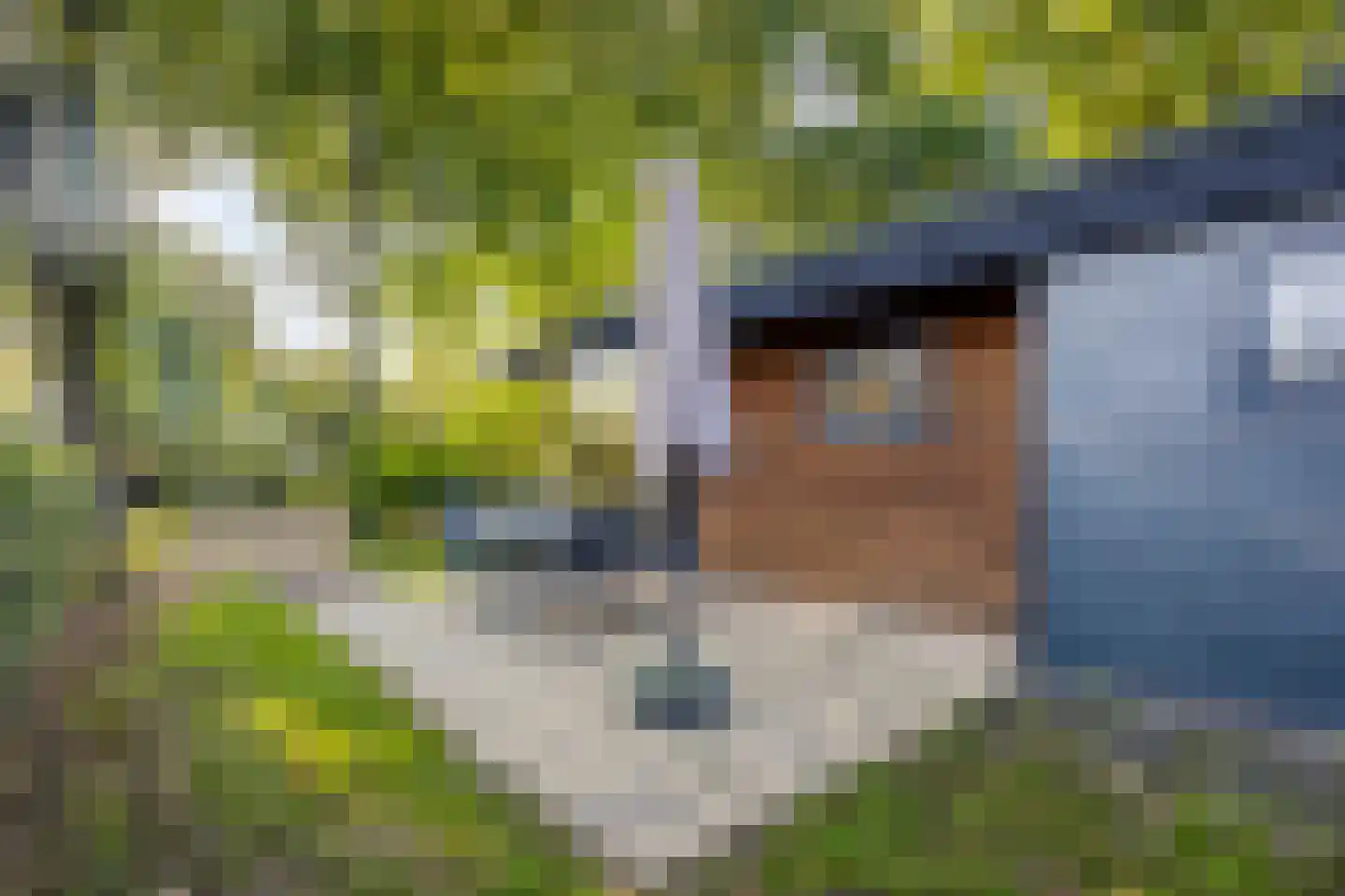 Arnhemseweg 100 R 812 Otterlo thumbnail 20