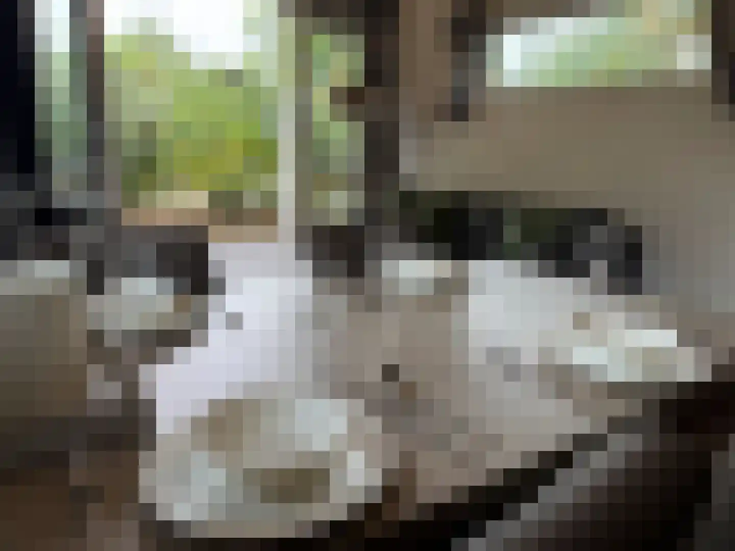 Arnhemseweg 100 R 814 Otterlo thumbnail 9