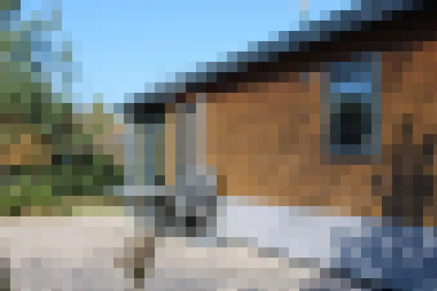Arnhemseweg 100 R 819 Otterlo thumbnail 4