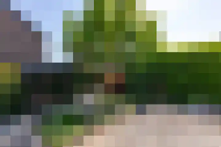 Arnhemseweg 109 Rheden thumbnail 31