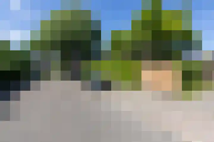 Arnhemseweg 109 Rheden thumbnail 32