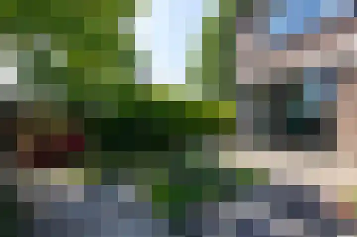 Arnhemseweg 109 Rheden thumbnail 4