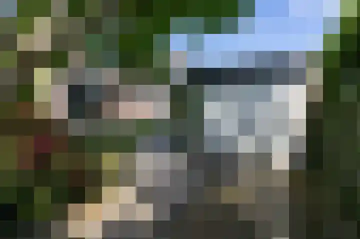 Arnhemseweg 109 Rheden thumbnail 5