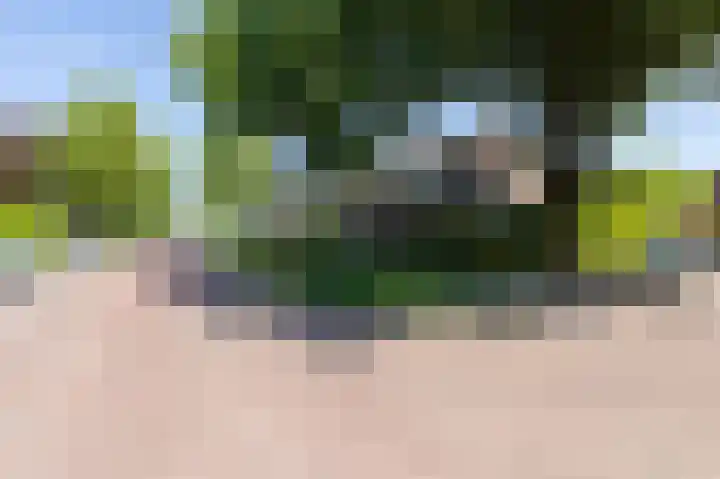 Arnhemseweg 109 Rheden thumbnail 6