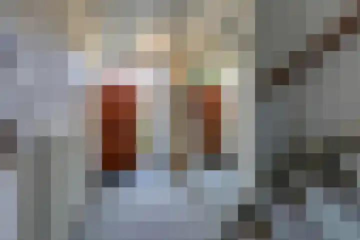 Arnhemseweg 109 Rheden thumbnail 9