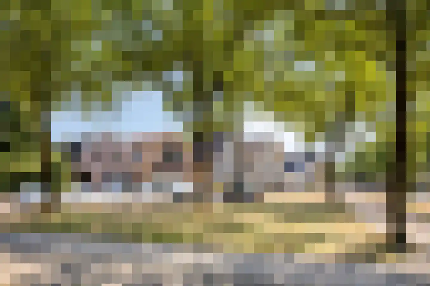 Arnhemseweg 115 Apeldoorn thumbnail 29