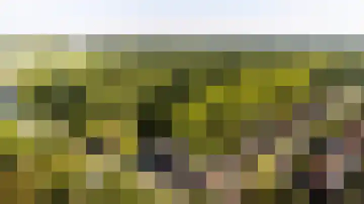 Arnhemseweg 13 Leusden thumbnail 38