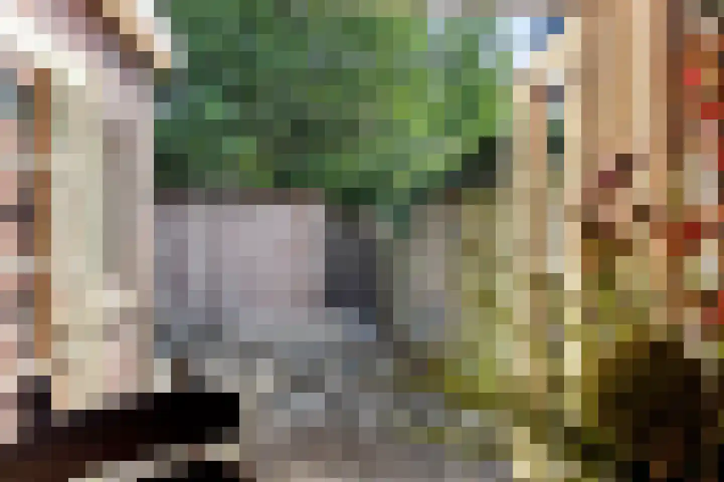 Arnhemseweg 13 Zevenaar thumbnail 28