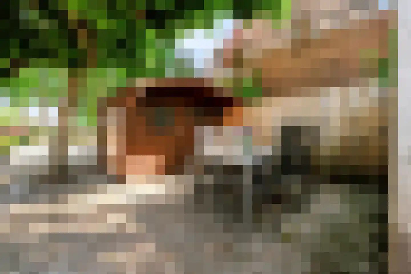 Arnhemseweg 13 Zevenaar thumbnail 33