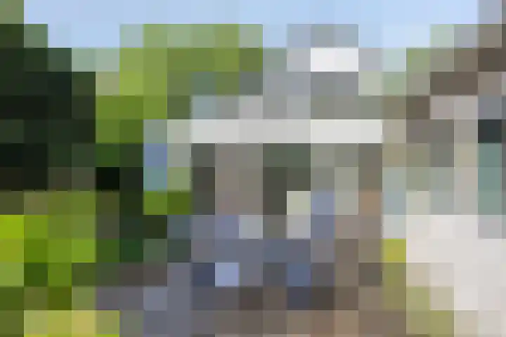 Arnhemseweg 133 Apeldoorn thumbnail 14