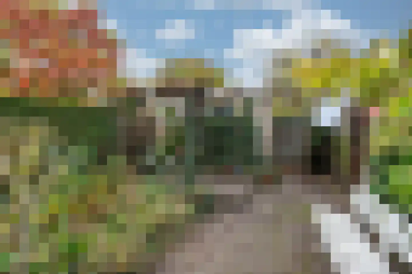 Arnhemseweg 142 Rheden thumbnail 27