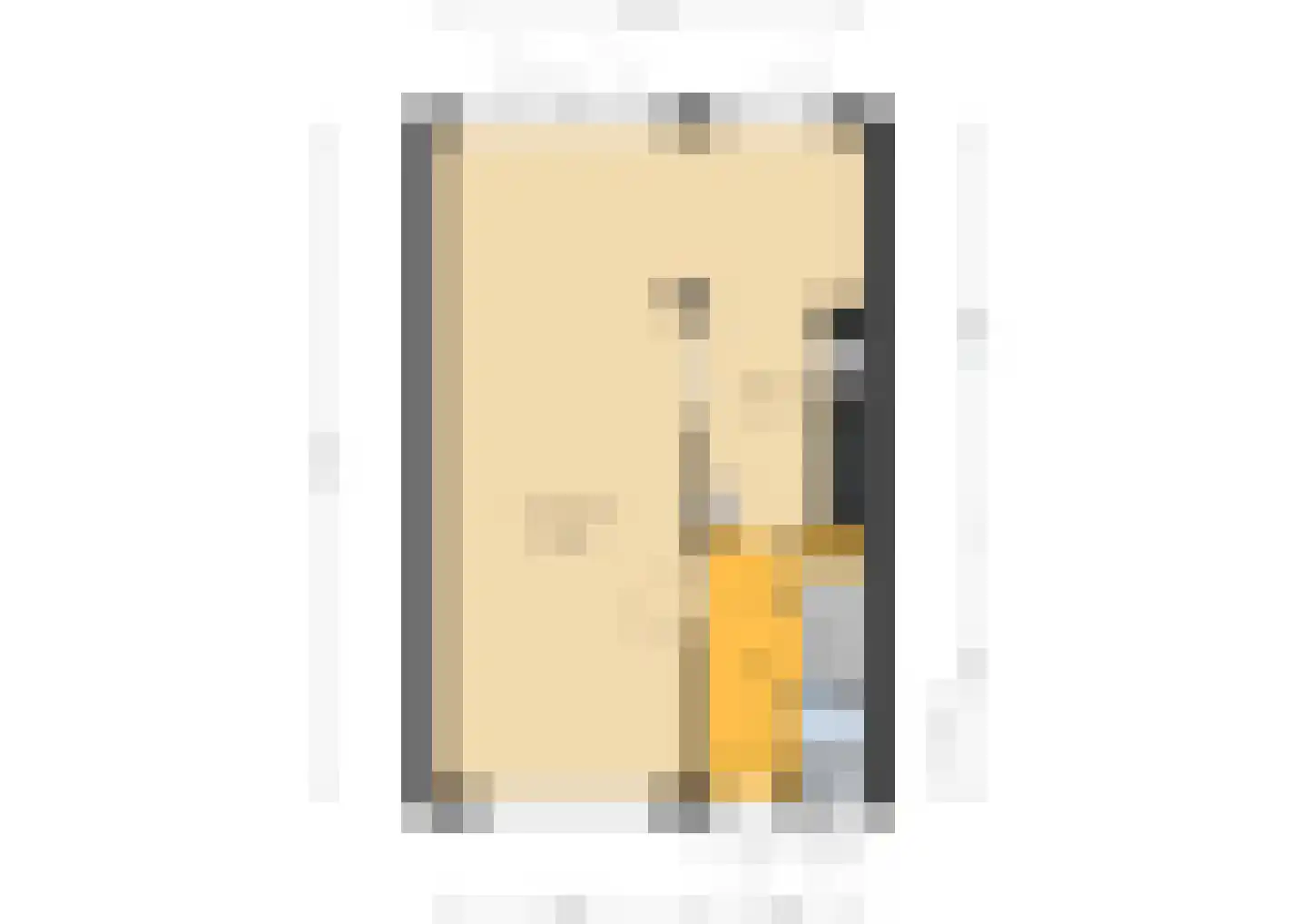 Arnhemseweg 142 Rheden thumbnail 33