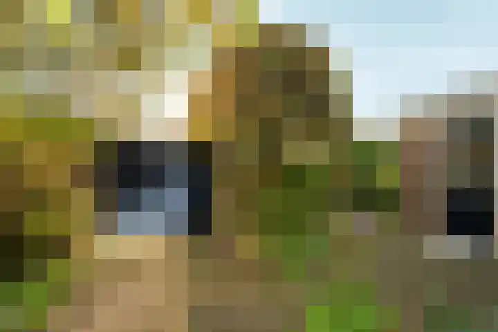 Arnhemseweg 146 Rheden thumbnail 40