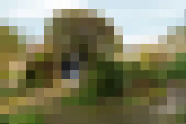 Arnhemseweg 146 Rheden thumbnail 42