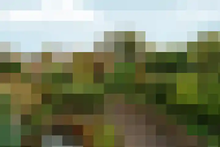 Arnhemseweg 146 Rheden thumbnail 43