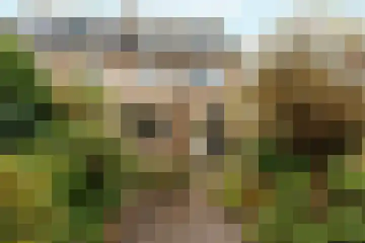 Arnhemseweg 146 Rheden thumbnail 44