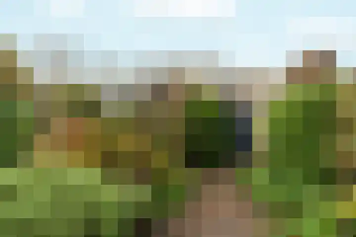 Arnhemseweg 146 Rheden thumbnail 45