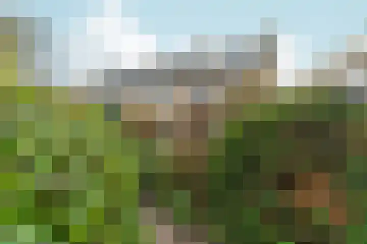 Arnhemseweg 146 Rheden thumbnail 46