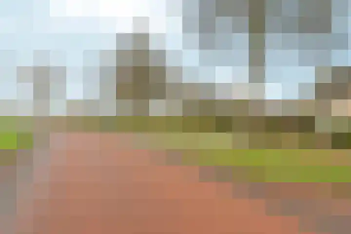 Arnhemseweg 146 Rheden thumbnail 7