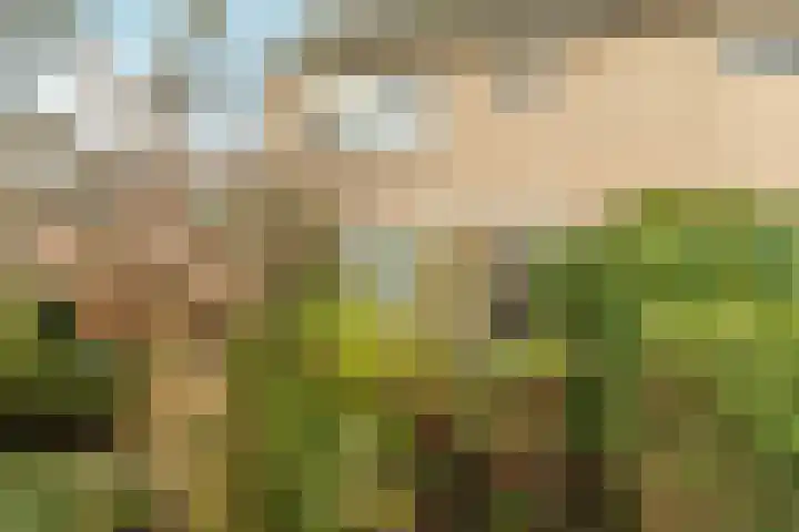 Arnhemseweg 146 Rheden thumbnail 9