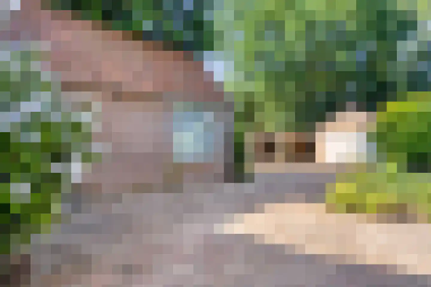 Arnhemseweg 180 Apeldoorn thumbnail 19