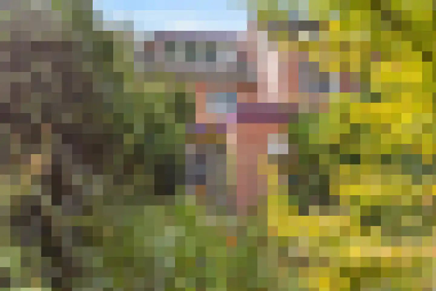 Arnhemseweg 188 Amersfoort thumbnail 18