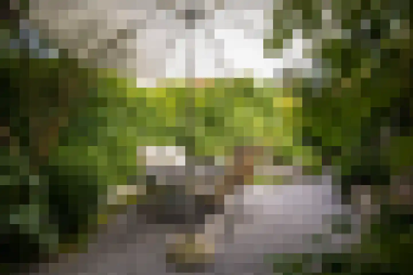 Arnhemseweg 188 Amersfoort thumbnail 47