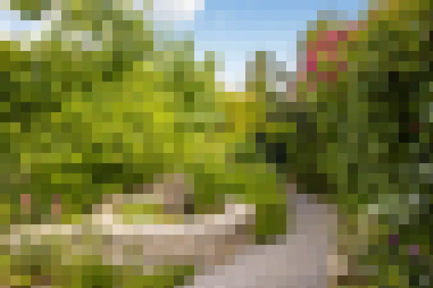 Arnhemseweg 188 Amersfoort thumbnail 48