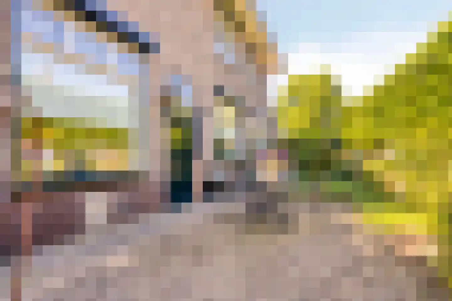 Arnhemseweg 218 Apeldoorn thumbnail 28
