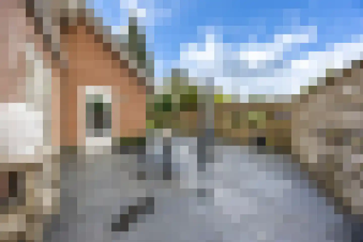 Arnhemseweg 22 Otterlo thumbnail 27