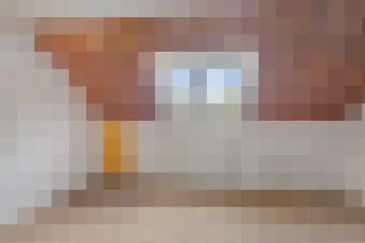 Arnhemseweg 24 Rheden thumbnail 31