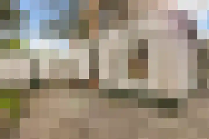 Arnhemseweg 24 Rheden thumbnail 37