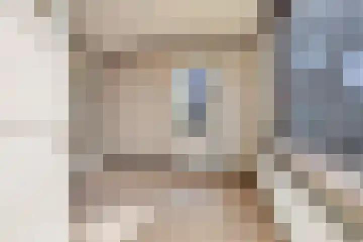 Arnhemseweg 24 Rheden thumbnail 4
