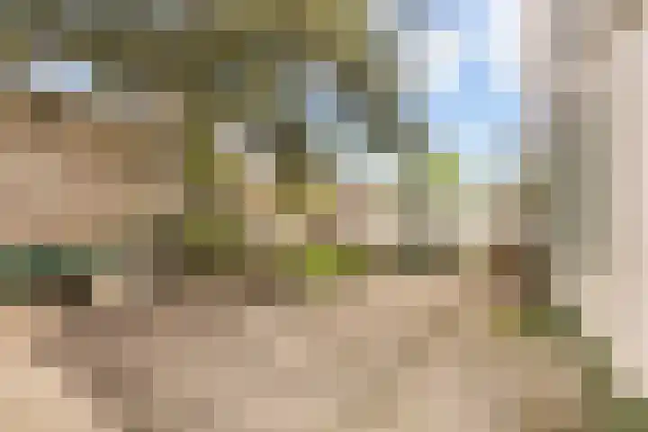 Arnhemseweg 24 Rheden thumbnail 42