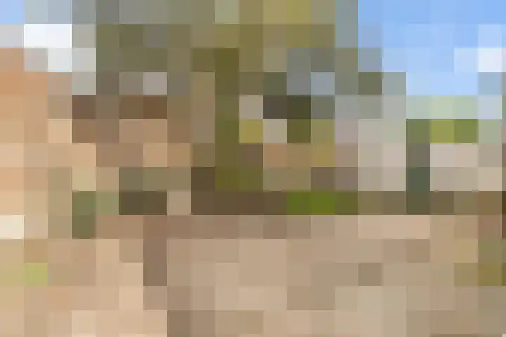Arnhemseweg 24 Rheden thumbnail 43