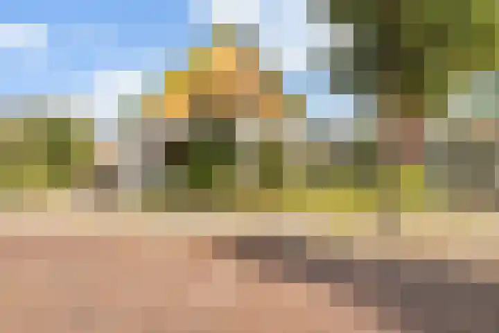 Arnhemseweg 24 Rheden thumbnail 45