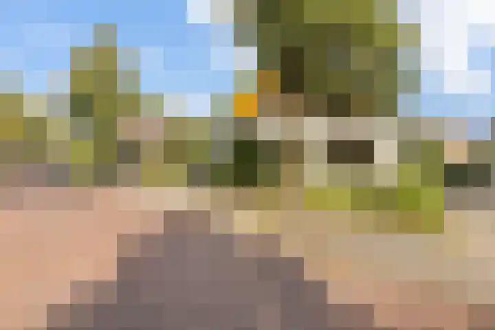 Arnhemseweg 24 Rheden thumbnail 47