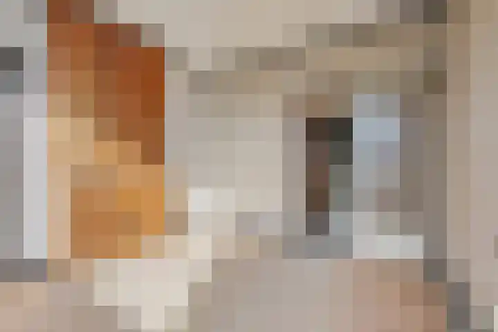 Arnhemseweg 24 Rheden thumbnail 5