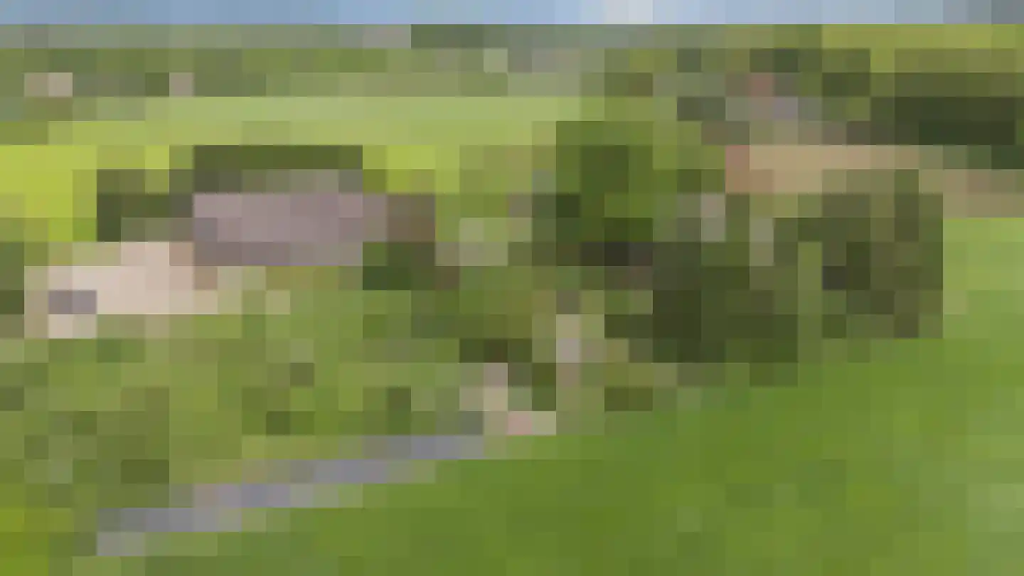 Arnhemseweg 25 Beek thumbnail 12