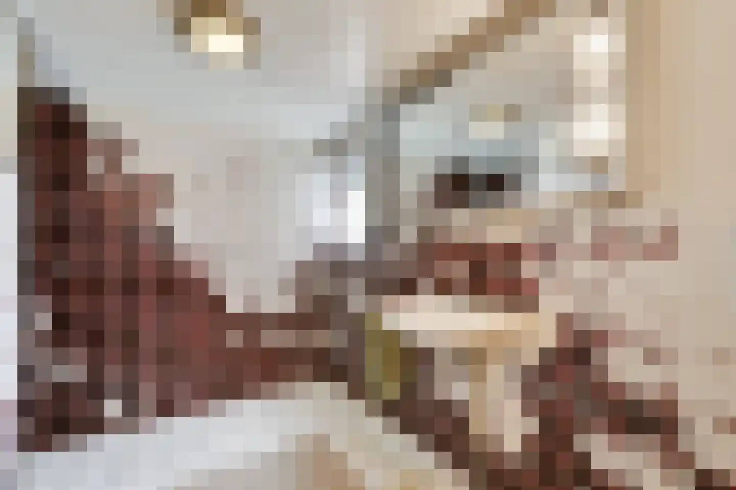 Arnhemseweg 25 Beek thumbnail 31