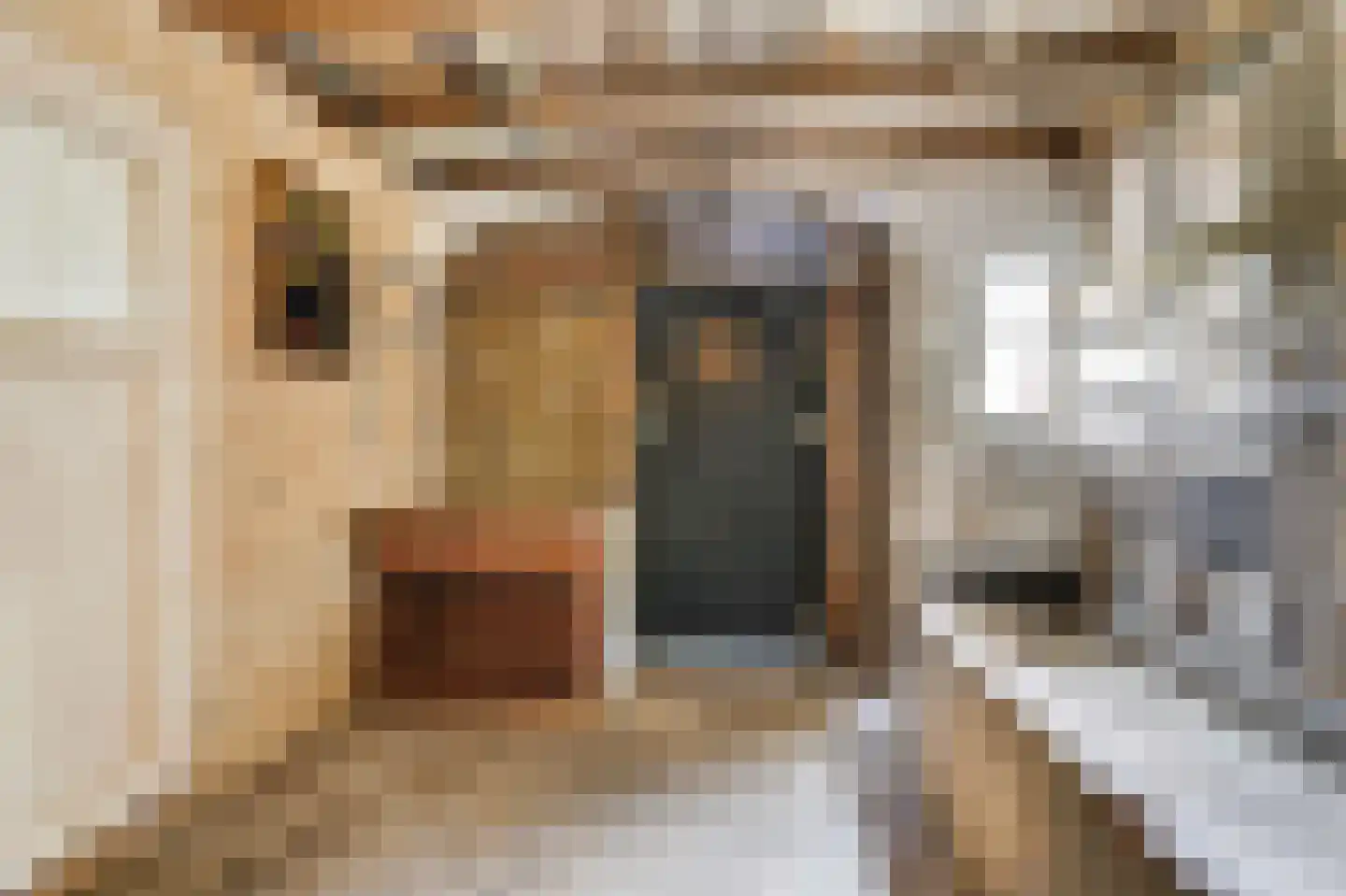 Arnhemseweg 25 Beek thumbnail 38