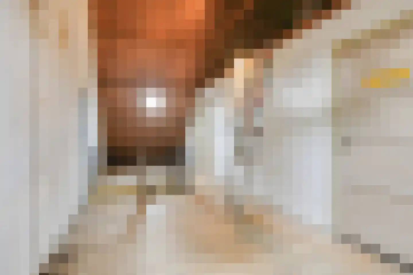Arnhemseweg 25 Beek thumbnail 39