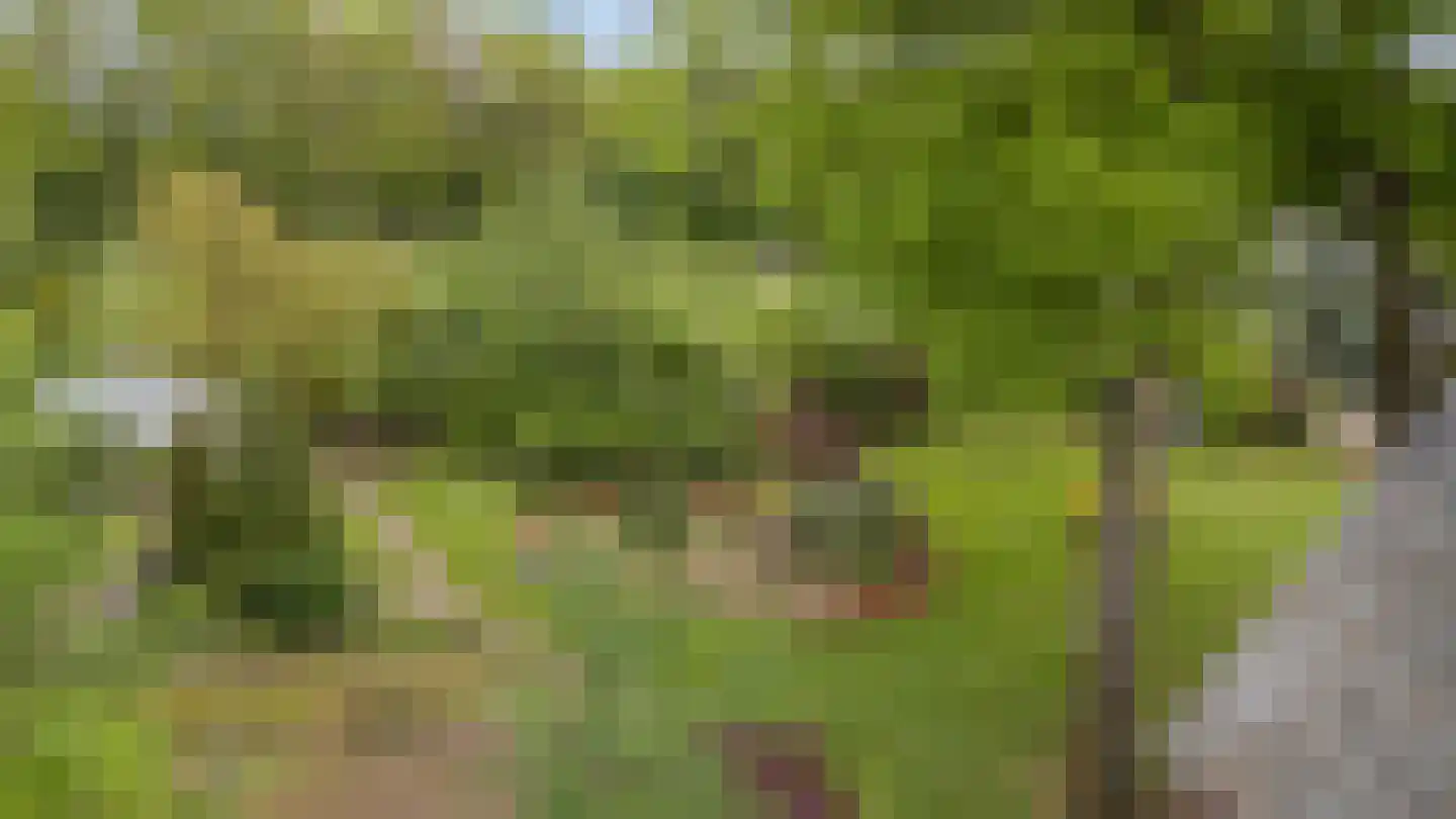 Arnhemseweg 25 Beek thumbnail 42
