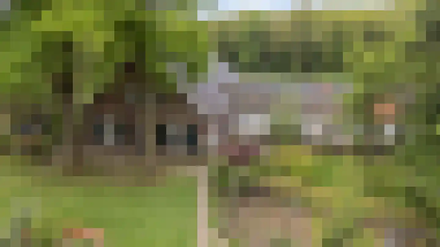Arnhemseweg 25 Beek thumbnail 5