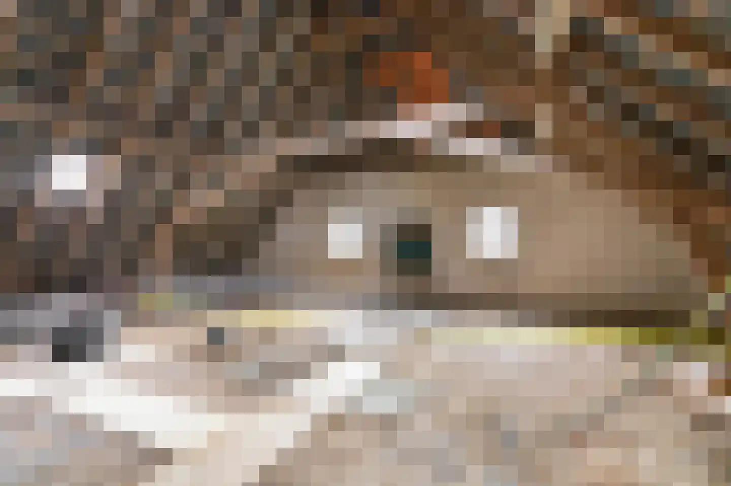 Arnhemseweg 25 Beek thumbnail 54
