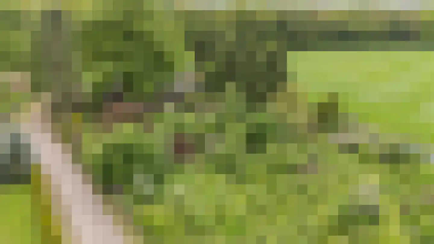 Arnhemseweg 25 Beek thumbnail 6