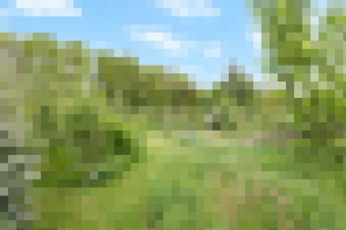 Arnhemseweg 25 Beek thumbnail 62