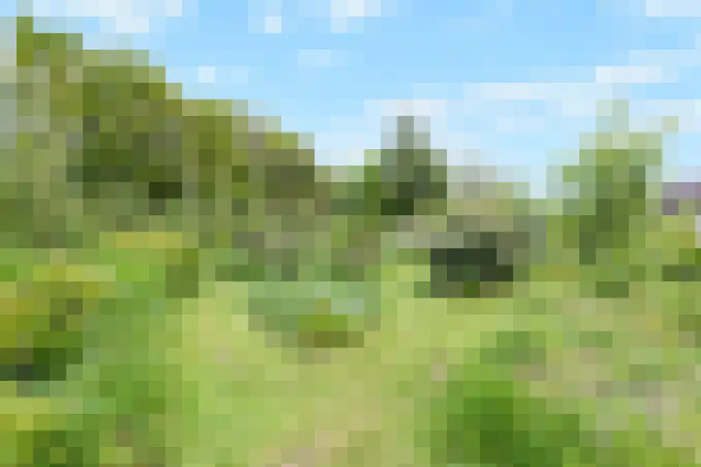 Arnhemseweg 25 Beek thumbnail 63